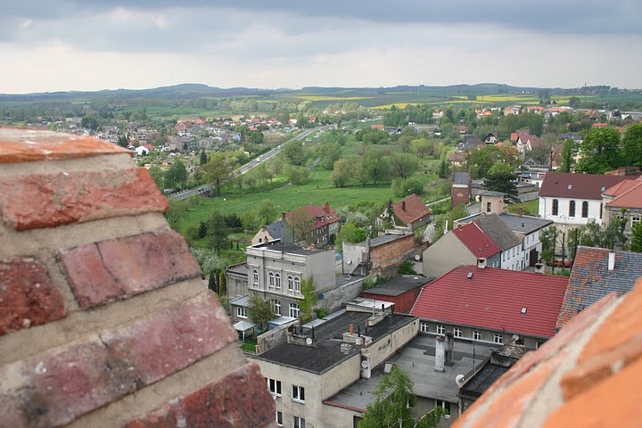 Krzywa Wieża - widok z góry