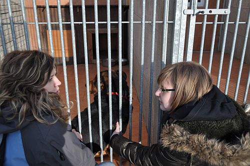 "Pomocna Dłoń" z Przyłęku do Dzierżoniowa