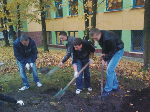 Dlaczego posadziliśmy przed naszą szkołą żółte krokusy?