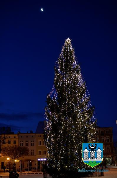 Choinka na ząbkowickim rynku