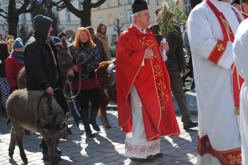 Wielki Tydzień w Ziębicach