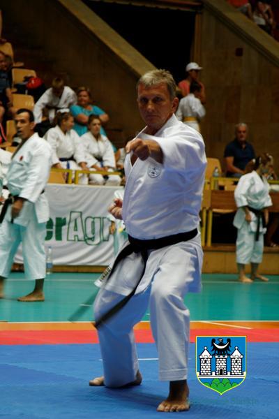 Mistrzostwa Świata w karate 