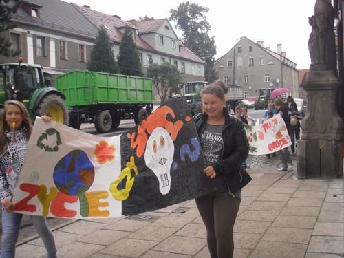 Akcja "Sprzątanie Świata" w Henrykowie