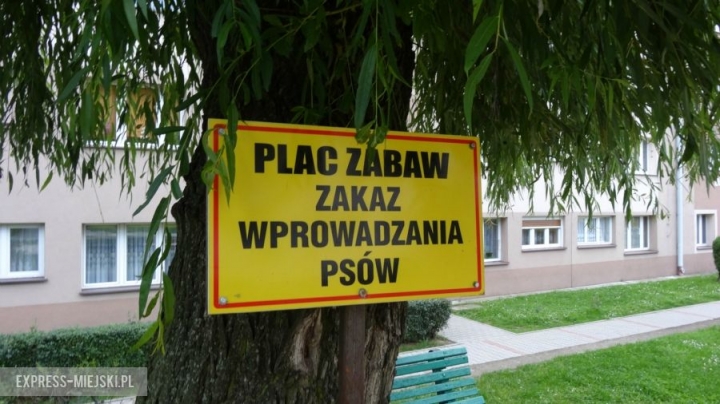 Zakaz wprowadzania psów