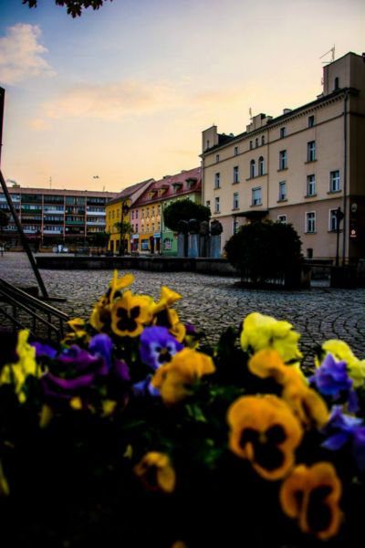 Ząbkowice Śląskie w obiektywie Foto Świra