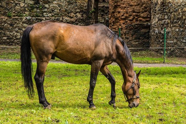 Urodzinowa sesja zdjeciowa Foto - Świra