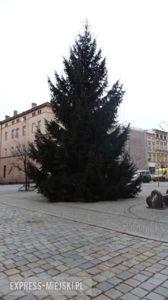 Choinka na ząbkowickim rynku