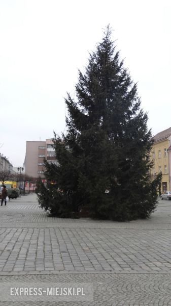 Choinka na ząbkowickim rynku