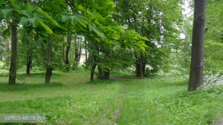 Park przyległy do pałacu