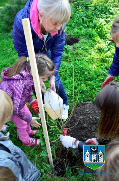 Mieszkańcy kilku miejscowości, a także przedszkolaki wzięły udział w akcji  „Zielona Gmina”