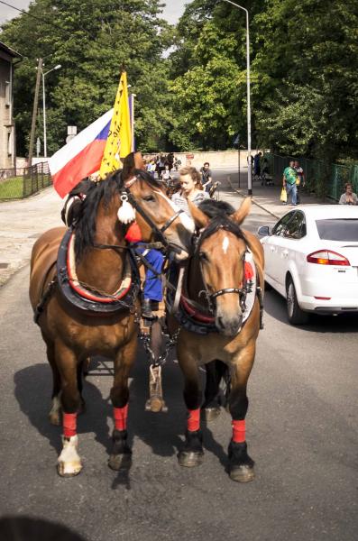 I Parada Zaprzęgów w Złotym Stoku w 2014 roku