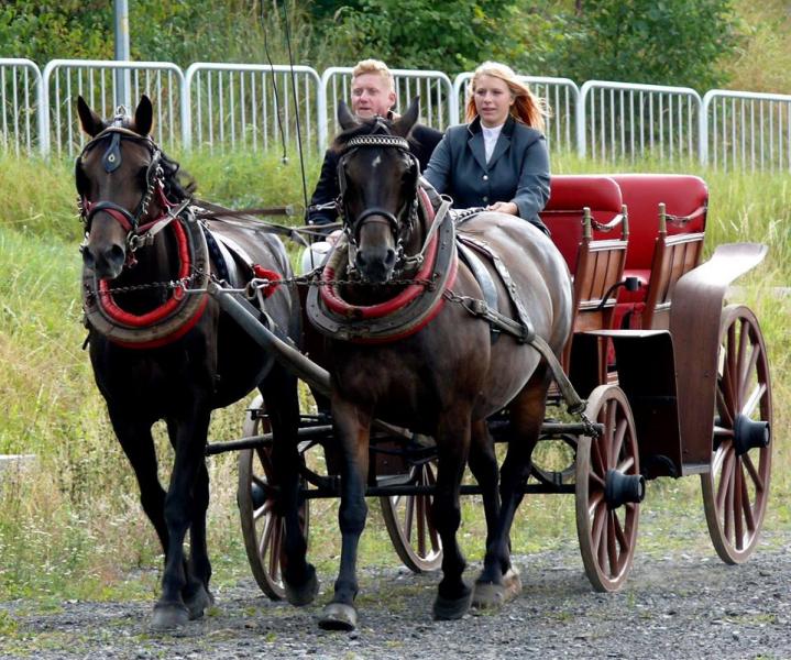 Parada zaprzęgów konnych złotostockimi ulicami