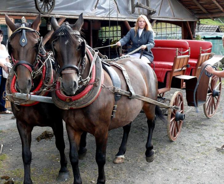 Parada zaprzęgów konnych złotostockimi ulicami