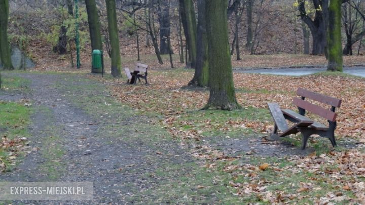 Wandale połamali siedem z ośmiu ławek znajdujących się przy głównej alejce w parku