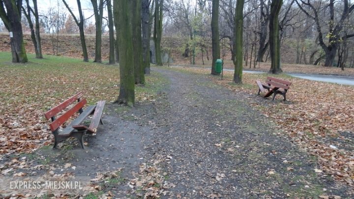 Wandale połamali siedem z ośmiu ławek znajdujących się przy głównej alejce w parku