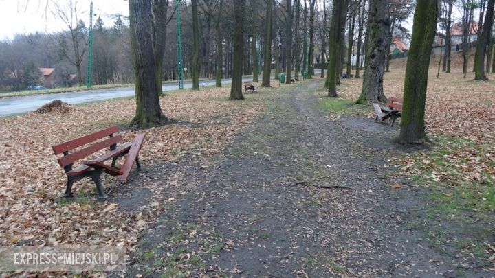 Wandale połamali siedem z ośmiu ławek znajdujących się przy głównej alejce w parku