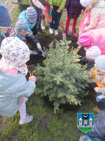 Gmina Ząbkowice Śląskie w akcji „Zielona Gmina”