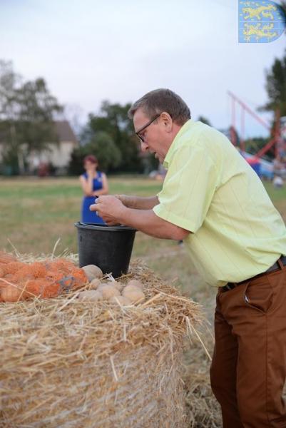 Dożynki gminne w Kamieńcu Ząbkowickim