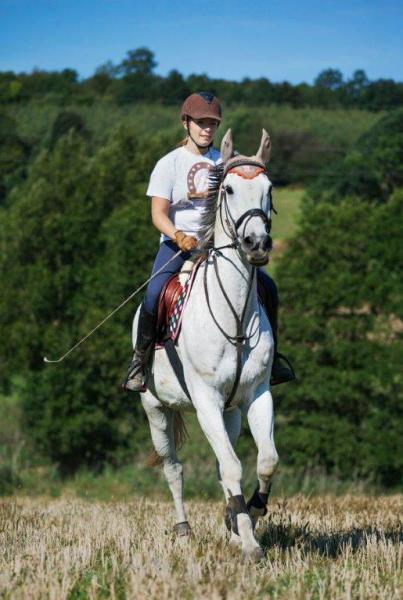 II Mistrzostwa Sudetów TREC PTTK Rancho Rossa Montana 