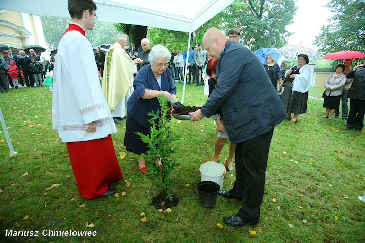 Zasadzili dąb ku pamięci Franciszka Wiatera w ramach akcji „Katyń... ocalić od zapomnienia”