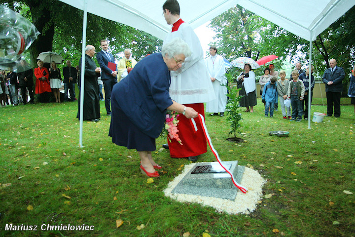 Zasadzili dąb ku pamięci Franciszka Wiatera w ramach akcji „Katyń... ocalić od zapomnienia”