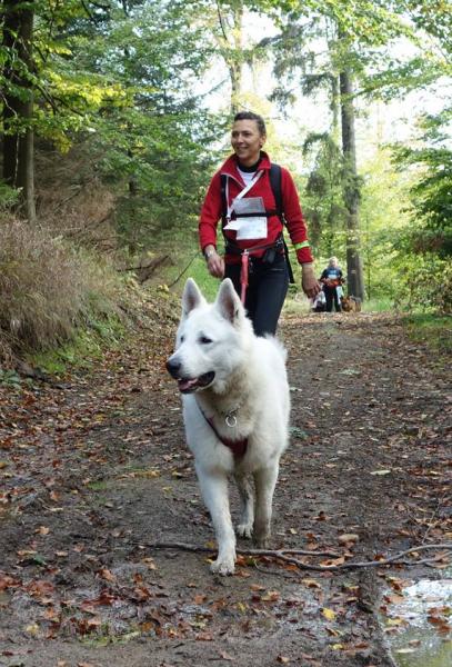 Finał Pucharu Polski w Dogtrekkingu - Złoty Stok 2016