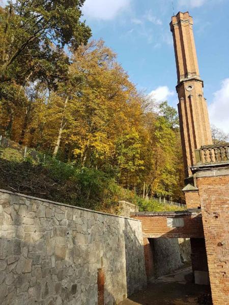 Zabezpieczenie skarpy osuwiska przy pałacu w Kamieńcu Ząbkowickim