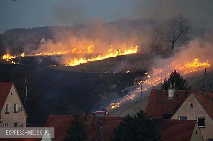 Pożar nieużytków na „wojskówce”