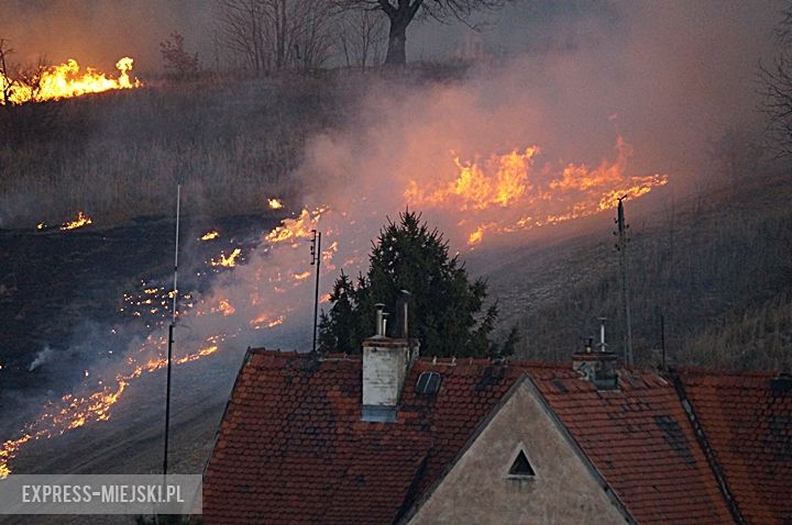 Pożar nieużytków na „wojskówce”