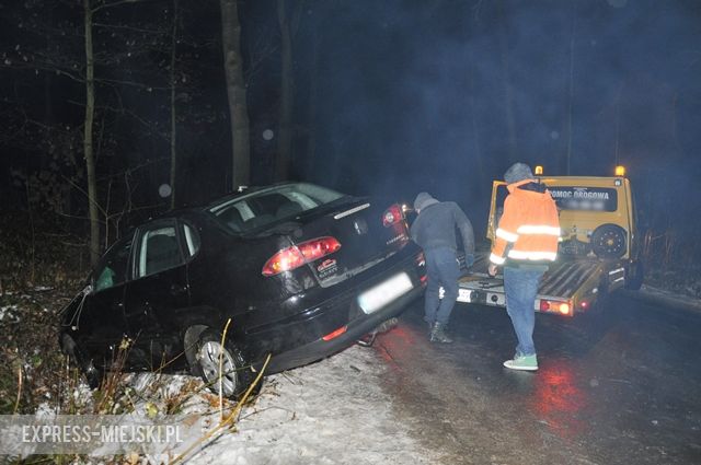 Dachowanie między Stolcem a Kamieńcem Ząbkowickim