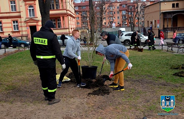 Czwarta edycja „Zielonej Gminy” 