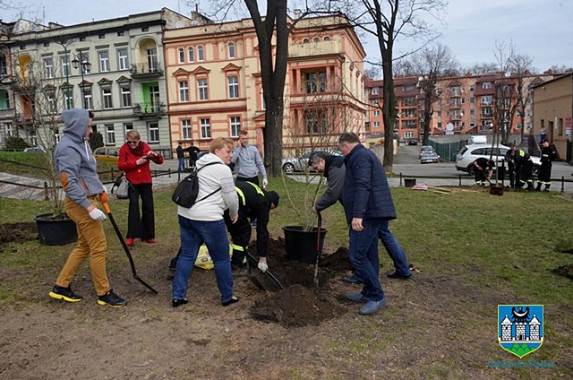 Czwarta edycja „Zielonej Gminy” 