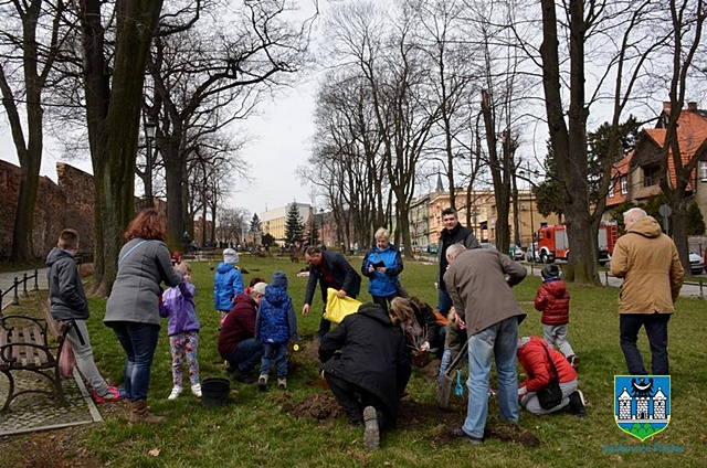 Czwarta edycja „Zielonej Gminy” 