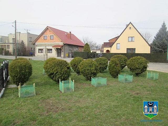 Czwarta edycja „Zielonej Gminy” 