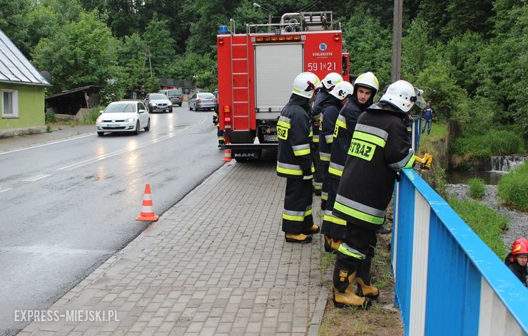 Wypadł z drogi i wpadł do rzeki. Groźnie zdarzenie drogowe na drodze krajowej nr 46