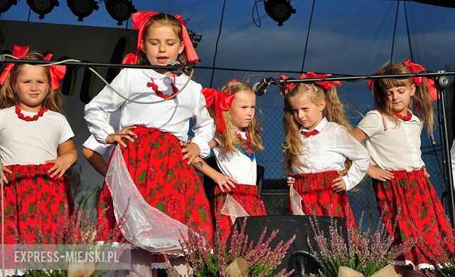 Dożynki w Bobolicach 2017