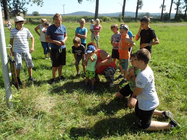 Sierpień na sportowo z Gminnym Centrum Edukacji i Sportu