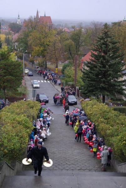 Program „Od Niepodległości do Wolności” w Ziębicach