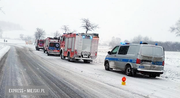 Mitsubishi w rowie na krajowej ósemce