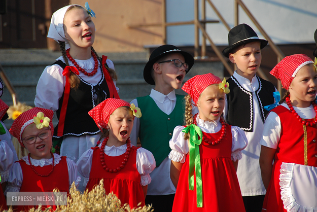 Święto plonów w Stolcu