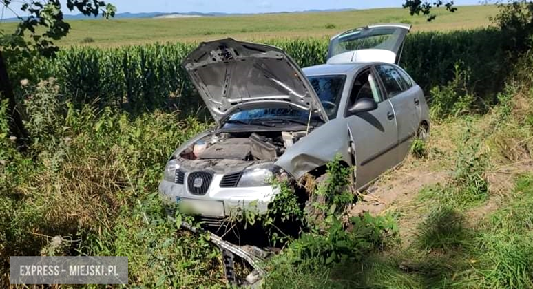 	Seat w rowie przed Kamieńcem Ząbkowickim. Jedna osoba w szpitalu