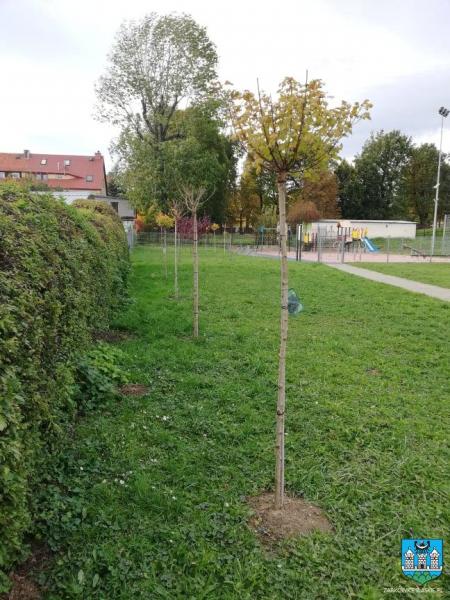 Akcja „Zielona Gmina” w Ząbkowicach Śląskich i Stolcu