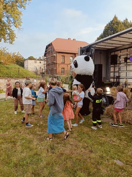 Dożynki sołeckie w Doboszowicach