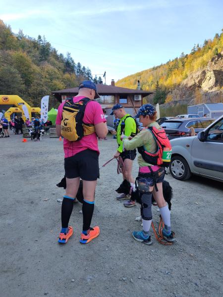 Finał Pucharu Polski w Dogtrekkingu 2024. Znamy najlepszych