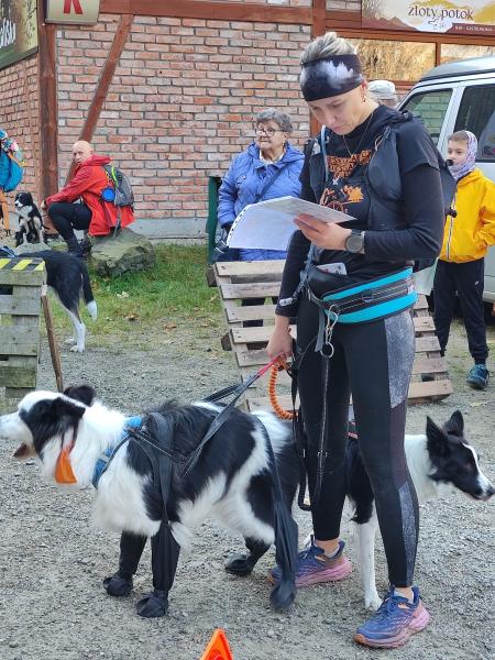 Finał Pucharu Polski w Dogtrekkingu 2024. Znamy najlepszych