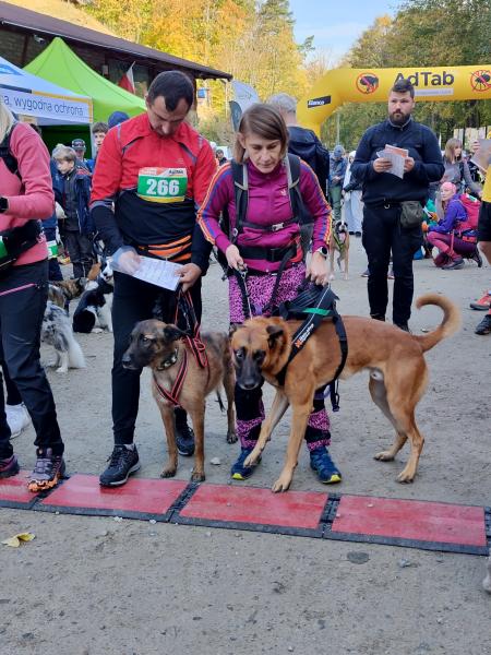 Finał Pucharu Polski w Dogtrekkingu 2024. Znamy najlepszych