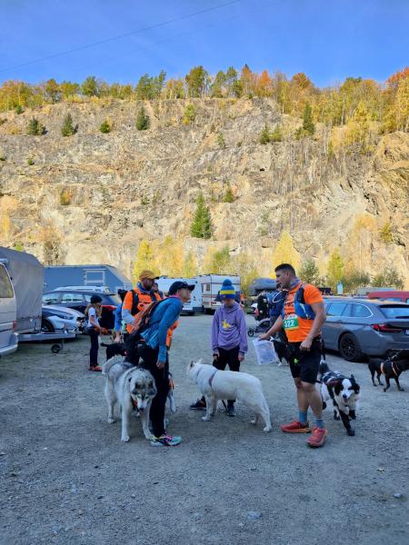 Finał Pucharu Polski w Dogtrekkingu 2024. Znamy najlepszych