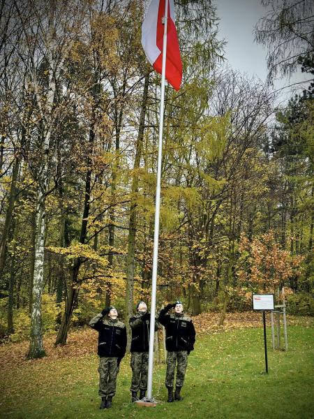 Apel niepodległościowy pod Pomnikiem Orła Piastowskiego w Ziębicach