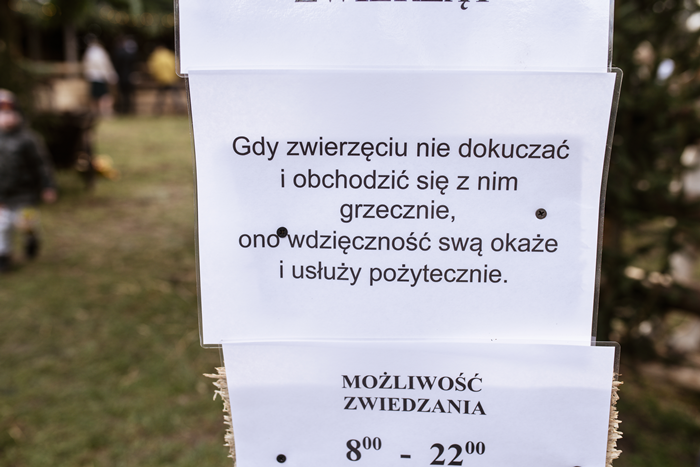 Żywa szopka bożonarodzeniowa w Starczowie