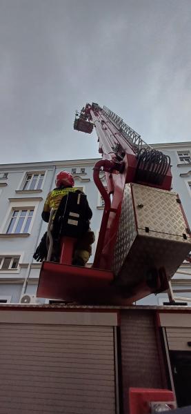 Strażacy-zawodowcy przez trzy dni szkolili się w centrum miasta